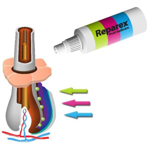 Reparex őszülés gátló férfiaknak 4 DOBOZ 3 ÁRÁÉRT!